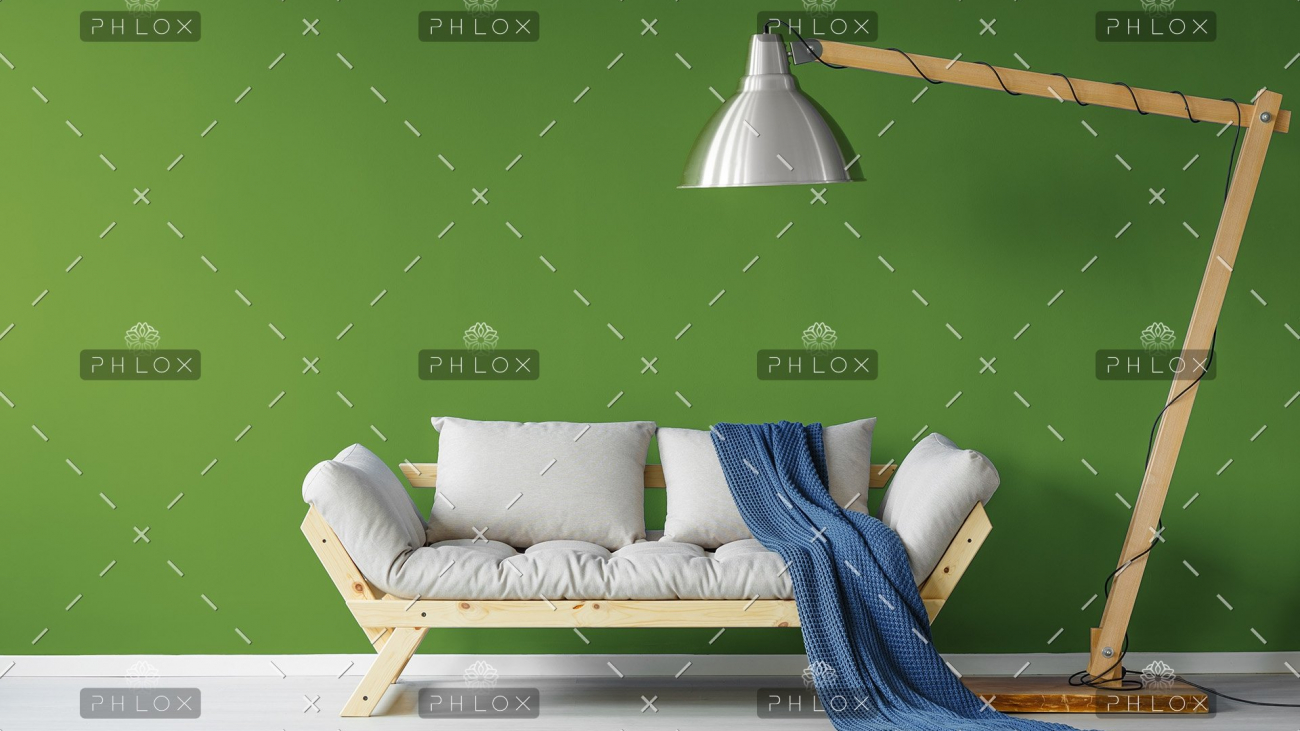 demo-attachment-490-cozy-sofa-in-living-room-PQR5AB9