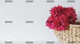 demo-attachment-481-ina-soulis-227104-unsplash